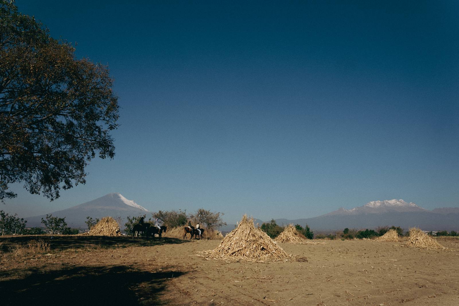 Pacas de heno en el campo de Calpan con el Popocatépetl y el Iztaccíhuatl al fondo